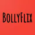 bollyflix tv new